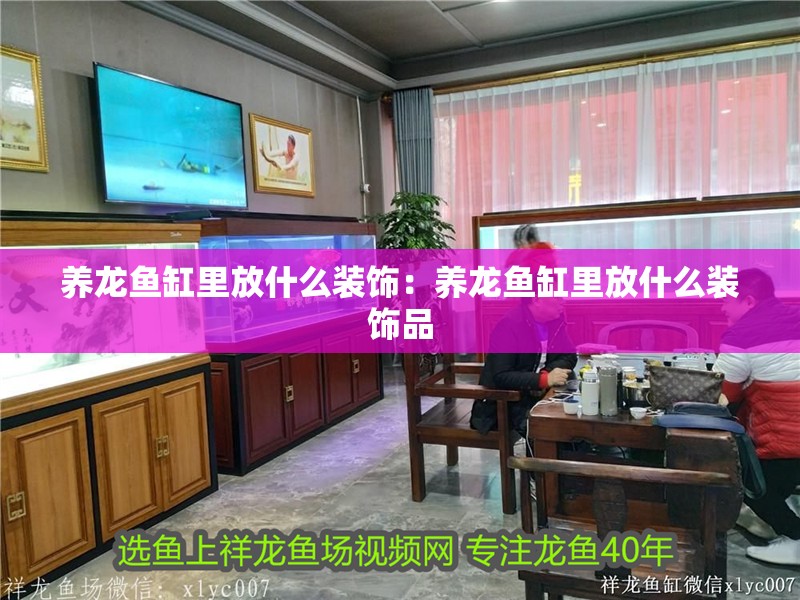養(yǎng)龍魚缸里放什么裝飾：養(yǎng)龍魚缸里放什么裝飾品