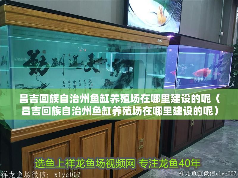 昌吉回族自治州魚缸養殖場在哪里建設的呢（昌吉回族自治州魚缸養殖場在哪里建設的呢）