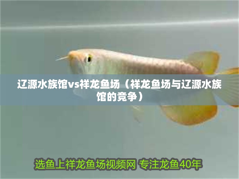 遼源水族館vs祥龍魚場（祥龍魚場與遼源水族館的競爭）