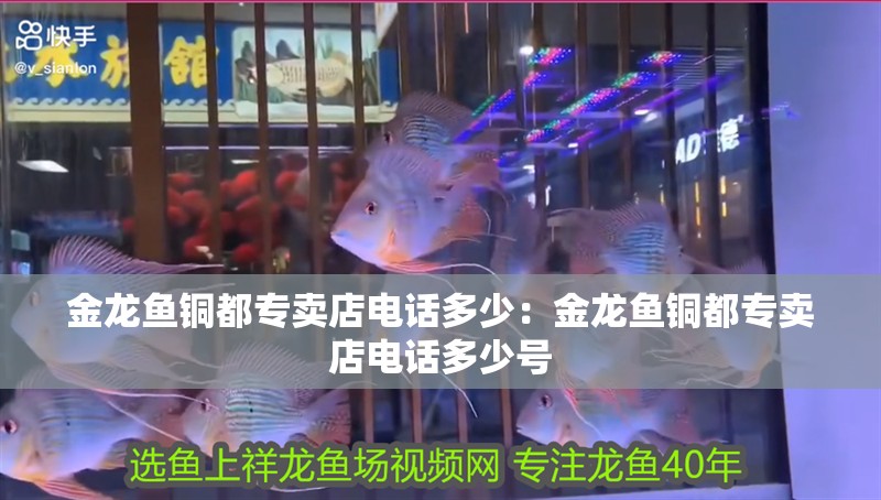 金龍魚銅都專賣店電話多少：金龍魚銅都專賣店電話多少號