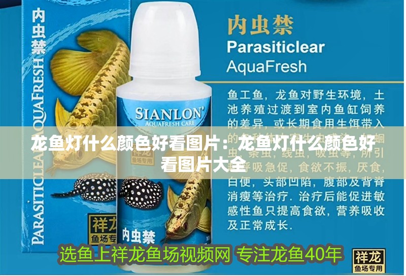 龍魚燈什么顏色好看圖片：龍魚燈什么顏色好看圖片大全