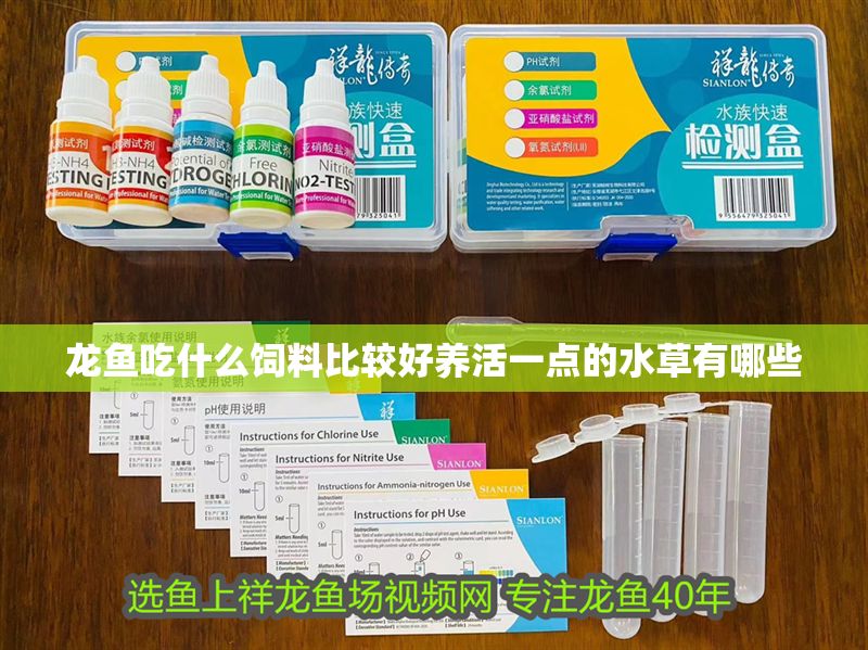 龍魚吃什么飼料比較好養活一點的水草有哪些