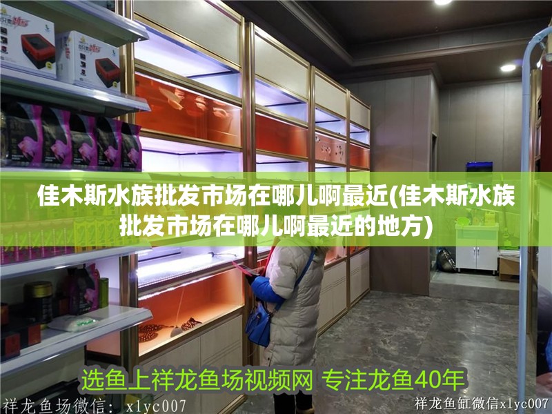 佳木斯水族批發(fā)市場在哪兒啊最近(佳木斯水族批發(fā)市場在哪兒啊最近的地方)