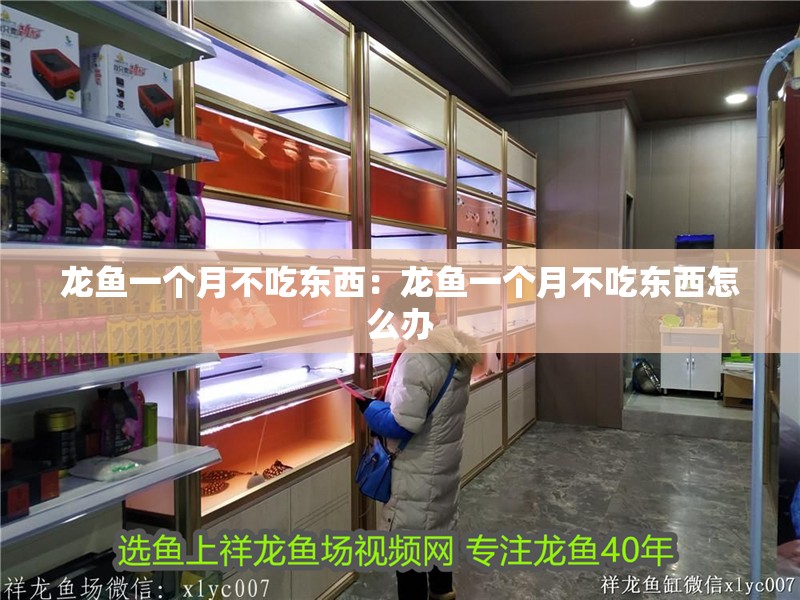 龍魚一個月不吃東西：龍魚一個月不吃東西怎么辦