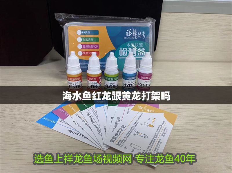 海水魚紅龍跟黃龍打架嗎