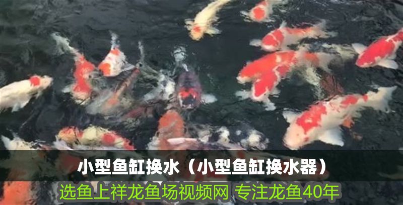 小型魚缸換水（小型魚缸換水器）