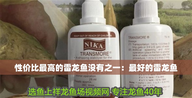 性價比最高的雷龍魚沒有之一：最好的雷龍魚