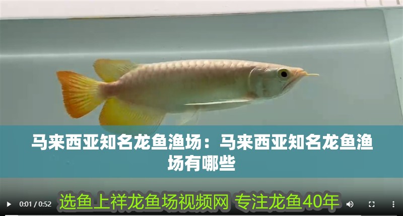 馬來西亞知名龍魚漁場：馬來西亞知名龍魚漁場有哪些