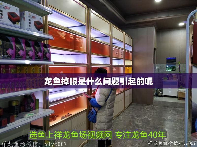 龍魚掉眼是什么問題引起的呢