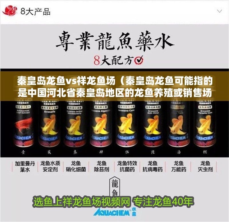 秦皇島龍魚vs祥龍魚場（秦皇島龍魚可能指的是中國河北省秦皇島地區的龍魚養殖或銷售場所）