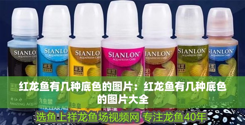 紅龍魚有幾種底色的圖片：紅龍魚有幾種底色的圖片大全
