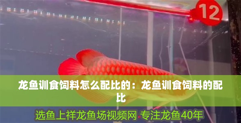 龍魚訓食飼料怎么配比的：龍魚訓食飼料的配比