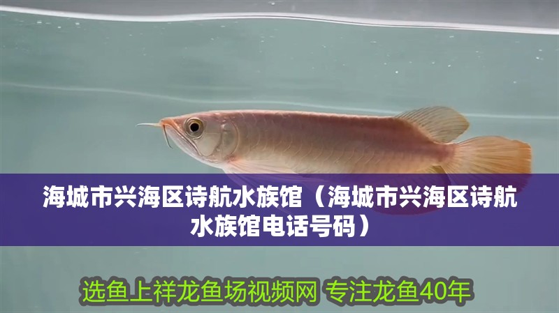 海城市興海區(qū)詩航水族館（海城市興海區(qū)詩航水族館電話號碼）