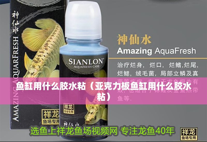 魚缸用什么膠水粘（亞克力板魚缸用什么膠水粘） 魚缸用什么膠水粘（亞克力板魚缸用什么膠水粘） 龍魚百科 第1張