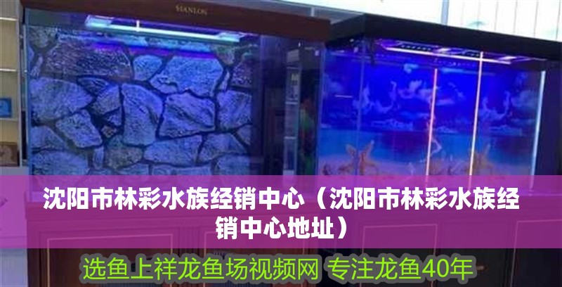 沈陽市林彩水族經銷中心（沈陽市林彩水族經銷中心地址）
