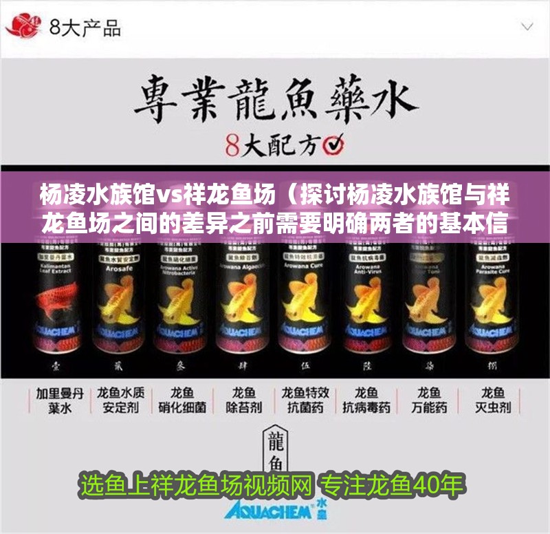 楊凌水族館vs祥龍魚場（探討楊凌水族館與祥龍魚場之間的差異之前需要明確兩者的基本信息）