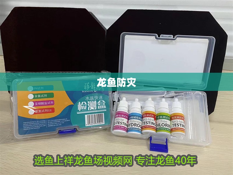 龍魚防災(zāi) 龍魚防災(zāi) 龍魚百科 第2張