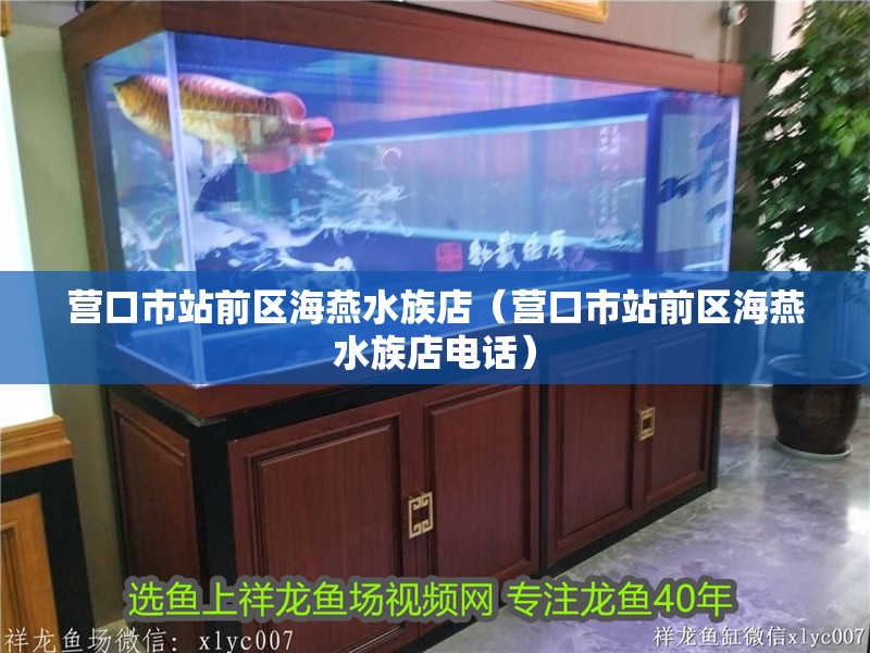 營口市站前區(qū)海燕水族店（營口市站前區(qū)海燕水族店電話）