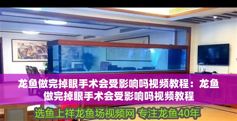 龍魚做完掉眼手術會受影響嗎視頻教程：龍魚做完掉眼手術會受影響嗎視頻教程
