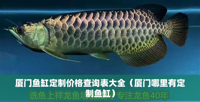廈門魚缸定制價格查詢表大全（廈門哪里有定制魚缸）