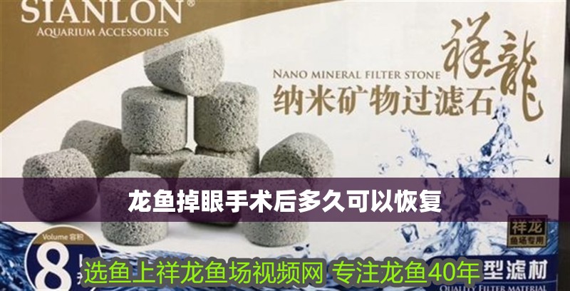 龍魚掉眼手術后多久可以恢復