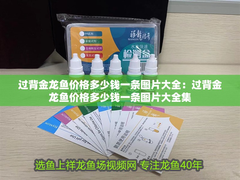 過(guò)背金龍魚價(jià)格多少錢一條圖片大全：過(guò)背金龍魚價(jià)格多少錢一條圖片大全集 過(guò)背金龍魚價(jià)格多少錢一條圖片大全：過(guò)背金龍魚價(jià)格多少錢一條圖片大全集 水族問(wèn)答