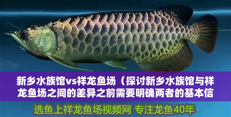 新鄉(xiāng)水族館vs祥龍魚場（探討新鄉(xiāng)水族館與祥龍魚場之間的差異之前需要明確兩者的基本信息）