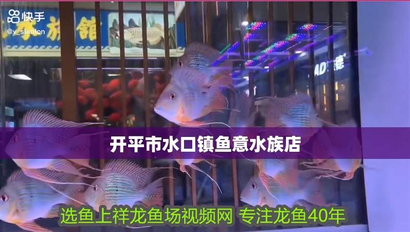 開平市水口鎮魚意水族店