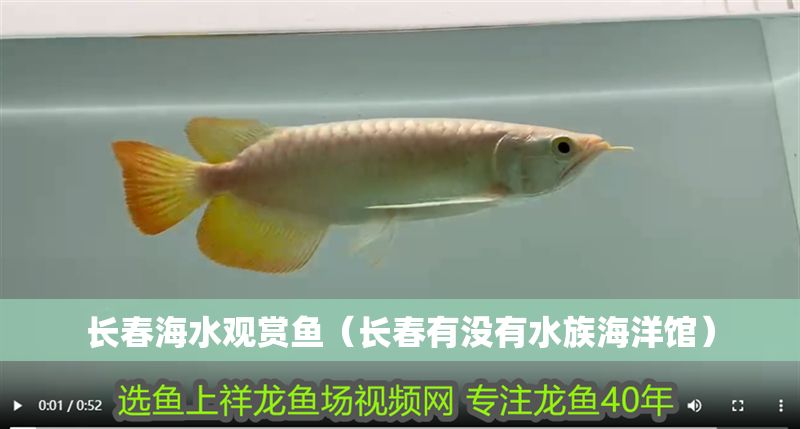 長春海水觀賞魚（長春有沒有水族海洋館）