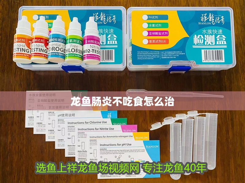 龍魚腸炎不吃食怎么治