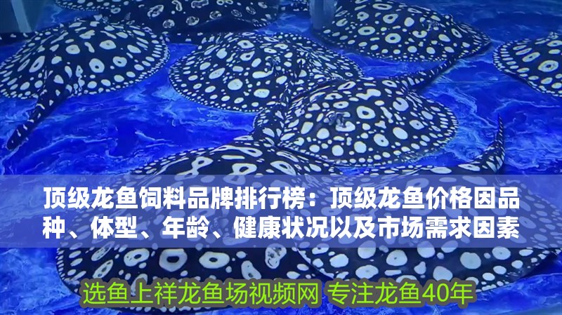 頂級龍魚飼料品牌排行榜：頂級龍魚價格因品種、體型、年齡、健康狀況以及市場需求因素而異 頂級龍魚飼料品牌排行榜：頂級龍魚價格因品種、體型、年齡、健康狀況以及市場需求因素而異 龍魚百科 第2張