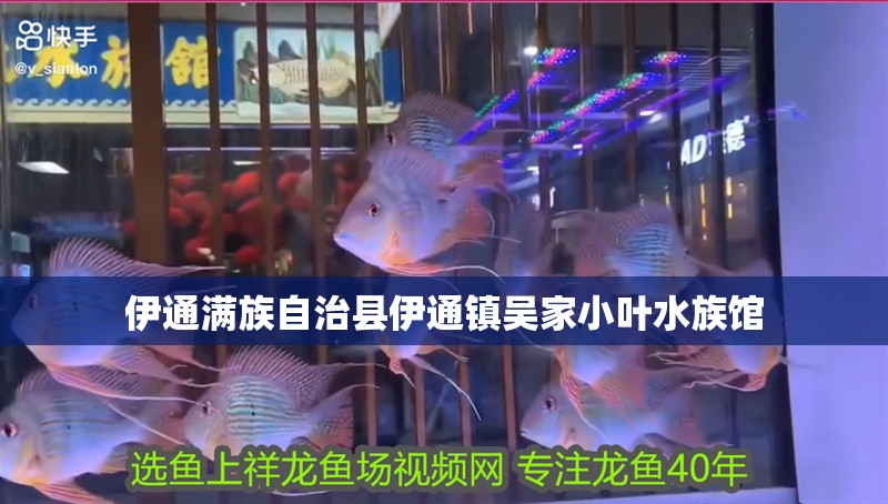 伊通滿族自治縣伊通鎮吳家小葉水族館