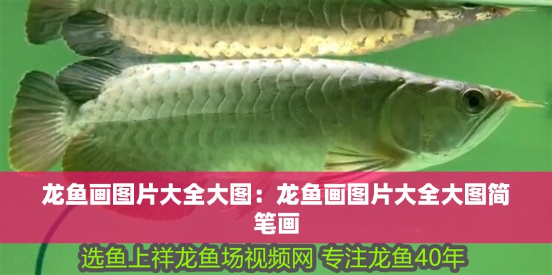 龍魚畫圖片大全大圖：龍魚畫圖片大全大圖簡筆畫