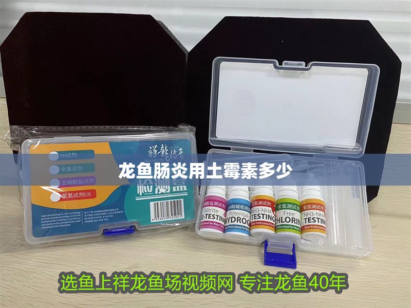 龍魚腸炎用土霉素多少