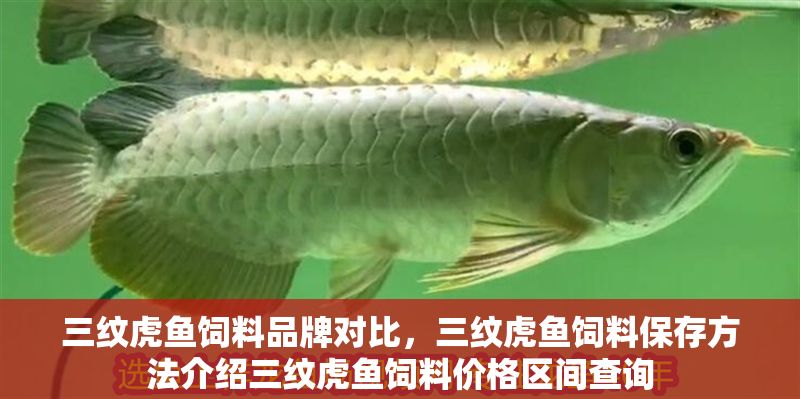 三紋虎魚飼料品牌對比，三紋虎魚飼料保存方法介紹三紋虎魚飼料價格區間查詢