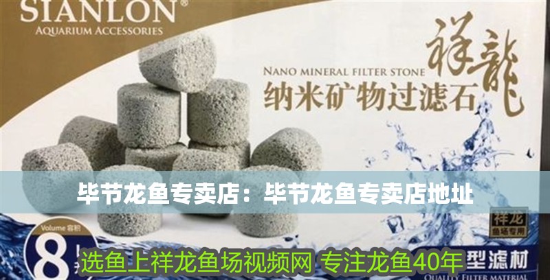 畢節(jié)龍魚專賣店：畢節(jié)龍魚專賣店地址