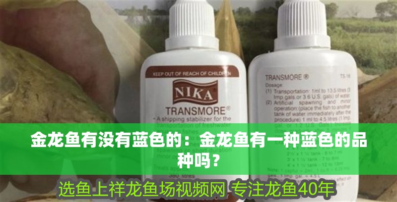 金龍魚有沒有藍色的：金龍魚有一種藍色的品種嗎？