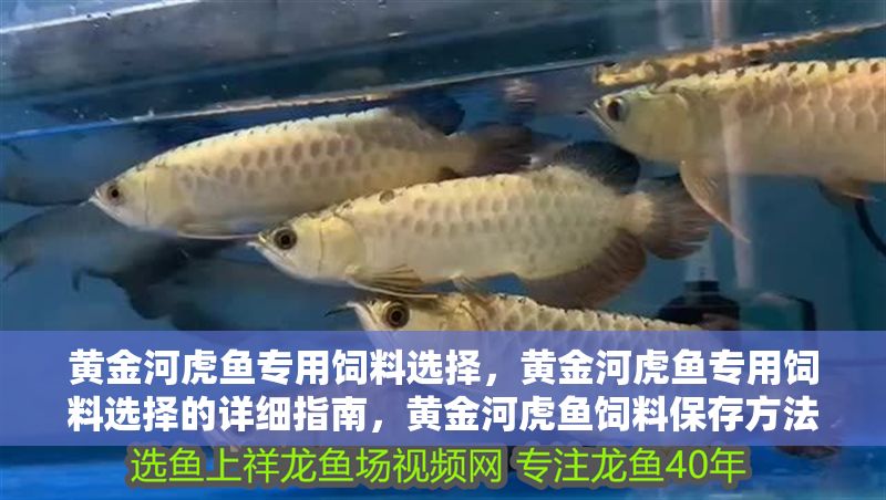 黃金河虎魚專用飼料選擇，黃金河虎魚專用飼料選擇的詳細指南，黃金河虎魚飼料保存方法