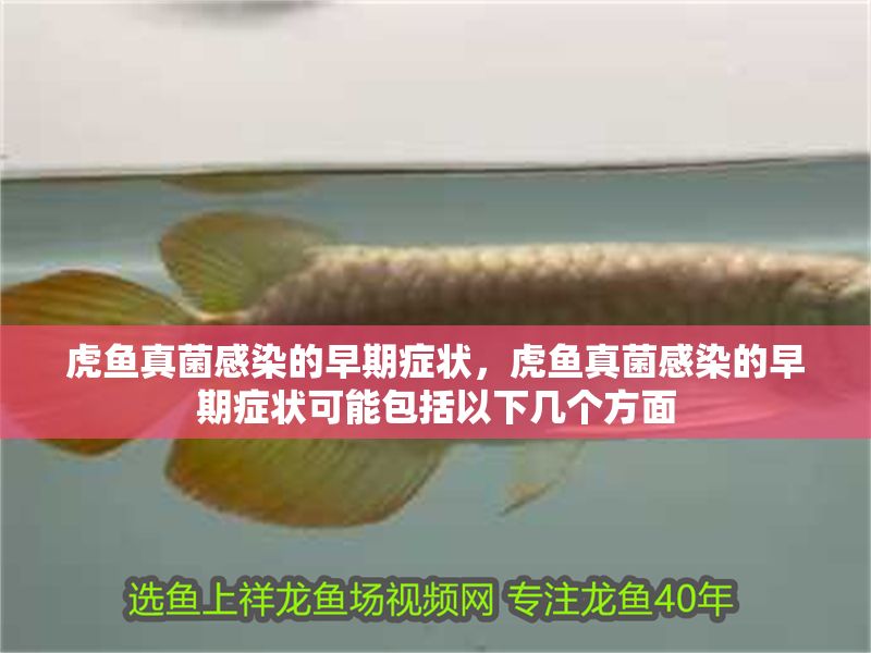 虎魚真菌感染的早期癥狀，虎魚真菌感染的早期癥狀可能包括以下幾個(gè)方面