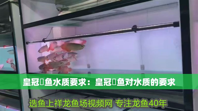 皇冠魟魚水質(zhì)要求：皇冠魟魚對水質(zhì)的要求