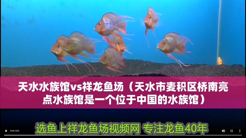 天水水族館vs祥龍魚場（天水市麥積區橋南亮點水族館是一個位于中國的水族館）