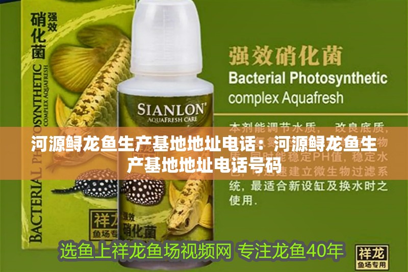 河源鱘龍魚生產基地地址電話：河源鱘龍魚生產基地地址電話號碼 河源鱘龍魚生產基地地址電話：河源鱘龍魚生產基地地址電話號碼 水族問答