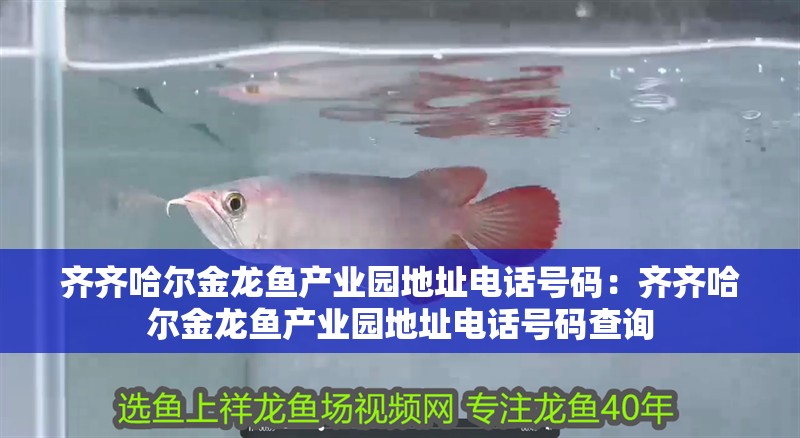 齊齊哈爾金龍魚產業園地址電話號碼：齊齊哈爾金龍魚產業園地址電話號碼查詢