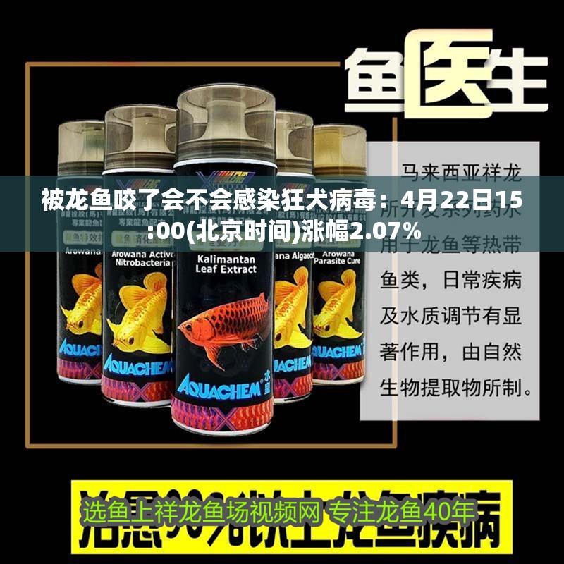 被龍魚咬了會不會感染狂犬病毒：4月22日15:00(北京時間)漲幅2.07% 被龍魚咬了會不會感染狂犬病毒：4月22日15:00(北京時間)漲幅2.07% 龍魚百科 第2張