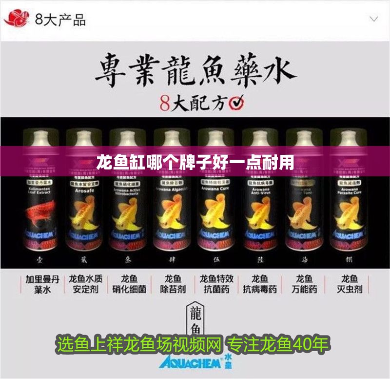 龍魚缸哪個牌子好一點耐用