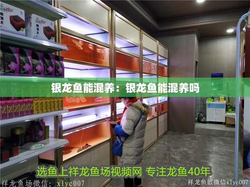 銀龍魚能混養(yǎng)：銀龍魚能混養(yǎng)嗎