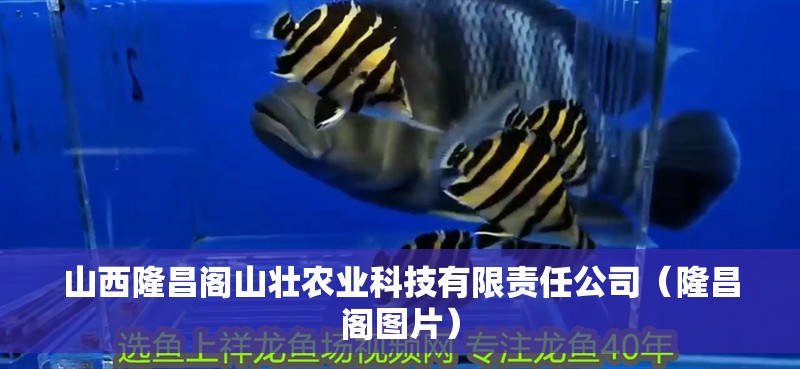 山西隆昌閣山壯農(nóng)業(yè)科技有限責(zé)任公司（隆昌閣圖片）