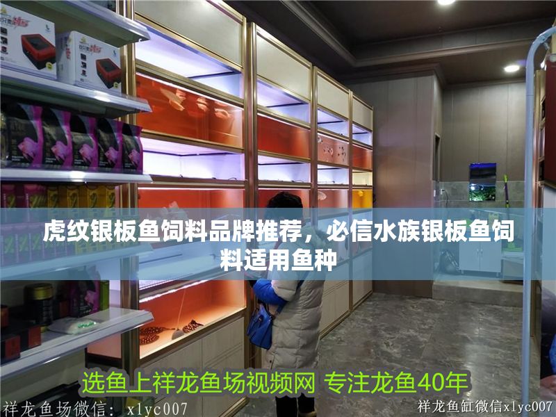虎紋銀板魚飼料品牌推薦，必信水族銀板魚飼料適用魚種