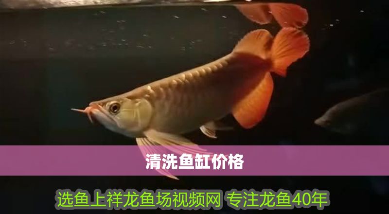 清洗魚缸價格 清洗魚缸價格 魚缸百科 第1張