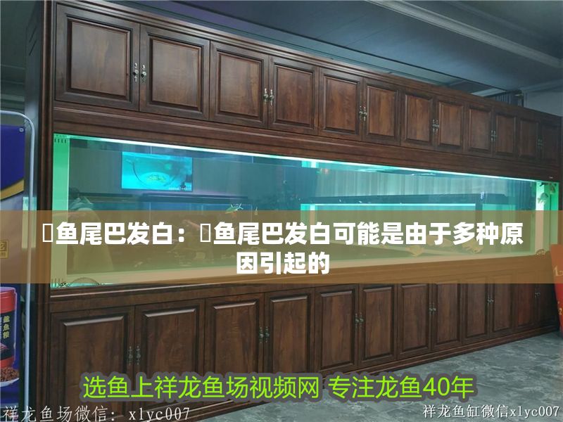 魟魚尾巴發白：魟魚尾巴發白可能是由于多種原因引起的